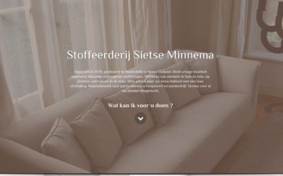 Website voor Sietse Minnema